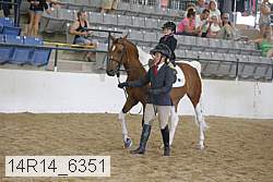 14r14_6351 proof