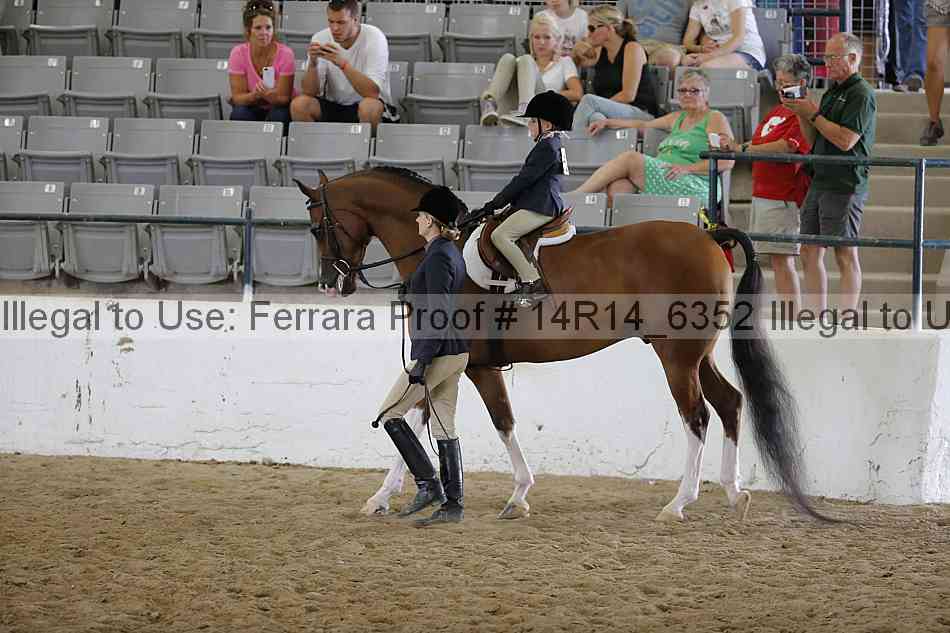 Proof 14r14_6352