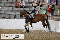 14r14_6352 proof