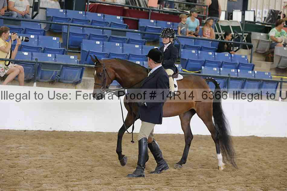 Proof 14r14_6366
