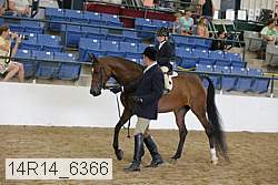 14r14_6366 proof