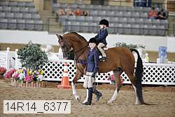 14r14_6377 proof