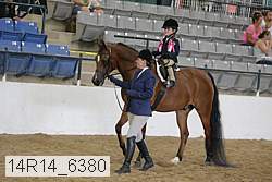 14r14_6380 proof