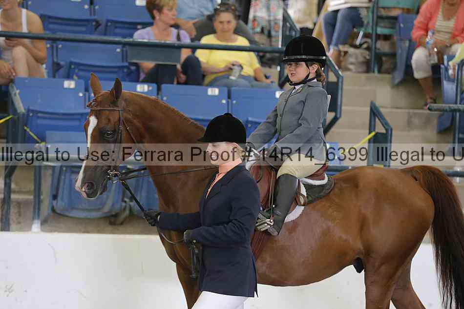 Proof 14r14_6399