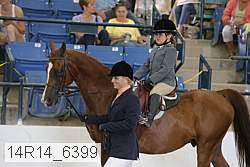 14r14_6399 proof