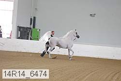 14r14_6474 proof