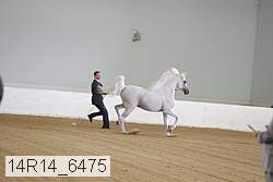 14r14_6475 proof