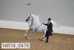 14r14_6476 proof