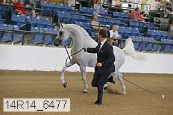 14r14_6477 proof