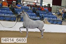 14r14_6480 proof