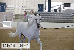 14r14_6491 proof