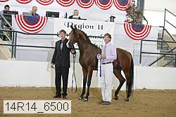 14r14_6500 proof
