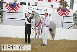 14r14_6501 proof