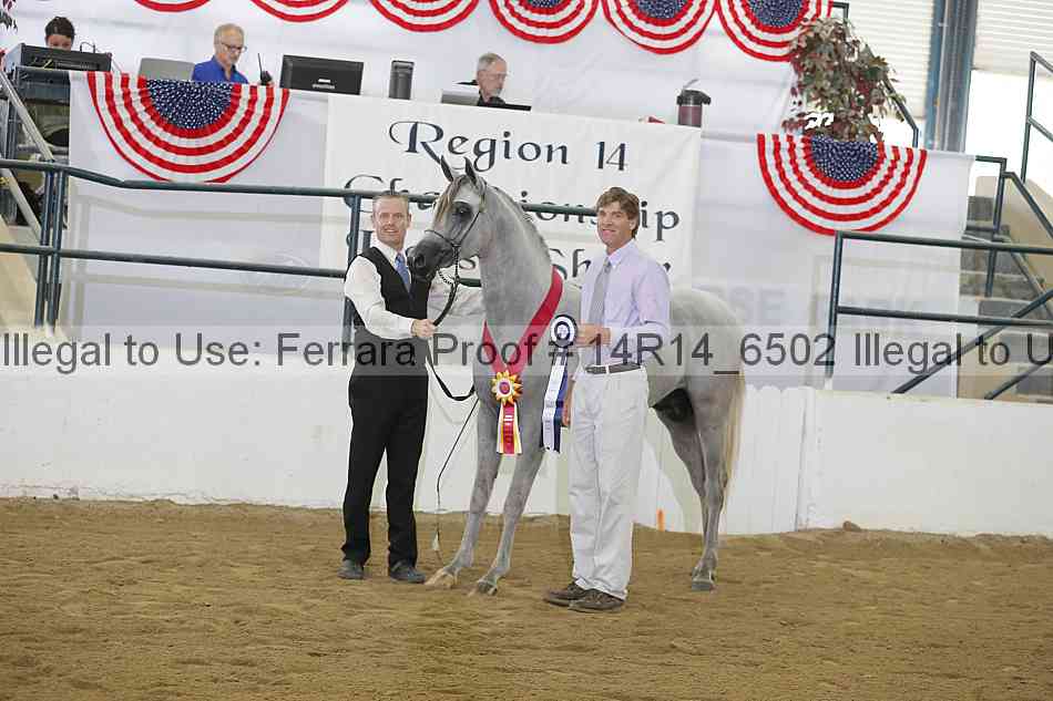 Proof 14r14_6502
