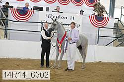 14r14_6502 proof