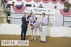 14r14_6504 proof