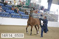 14r14_6509 proof