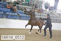 14r14_6512 proof