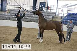 14r14_6533 proof
