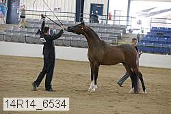 14r14_6534 proof