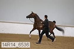 14r14_6536 proof
