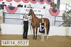 14r14_6537 proof