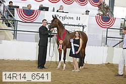 14r14_6541 proof