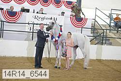 14r14_6544 proof