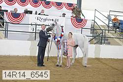14r14_6545 proof