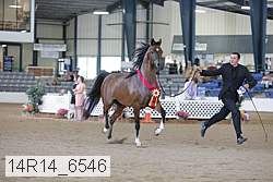 14r14_6546 proof