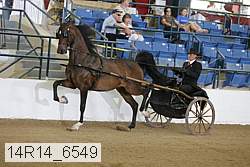 14r14_6549 proof