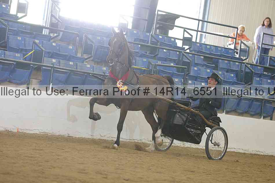 Proof 14r14_6551