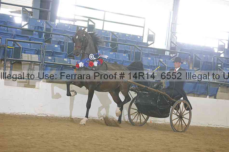 Proof 14r14_6552