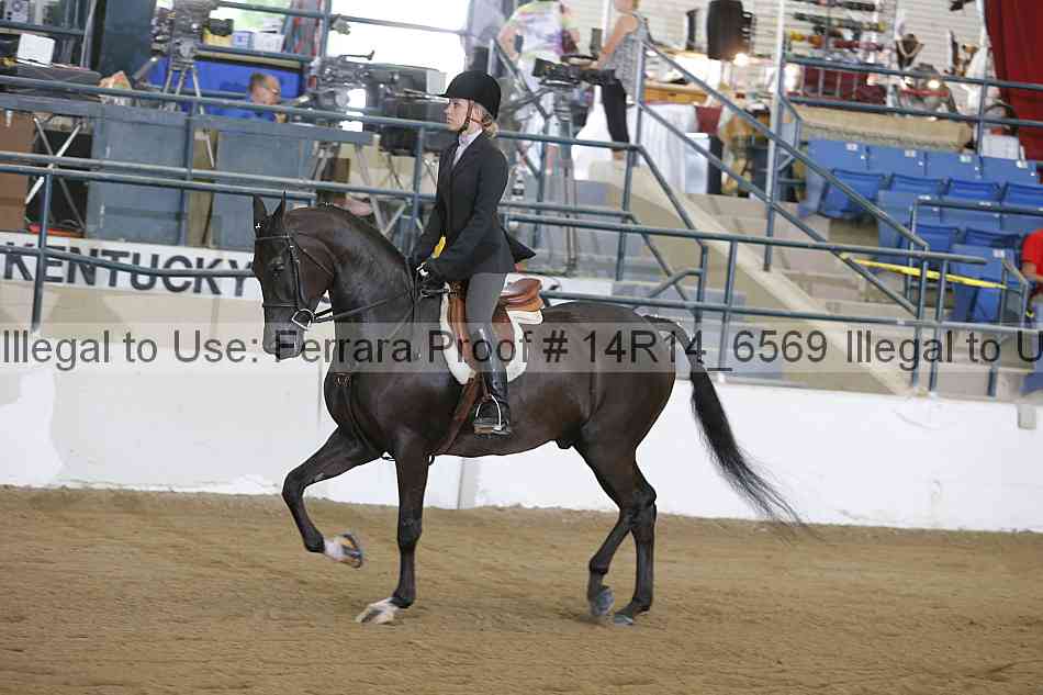 Proof 14r14_6569