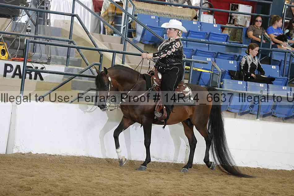 Proof 14r14_6637