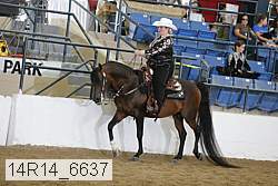 14r14_6637 proof