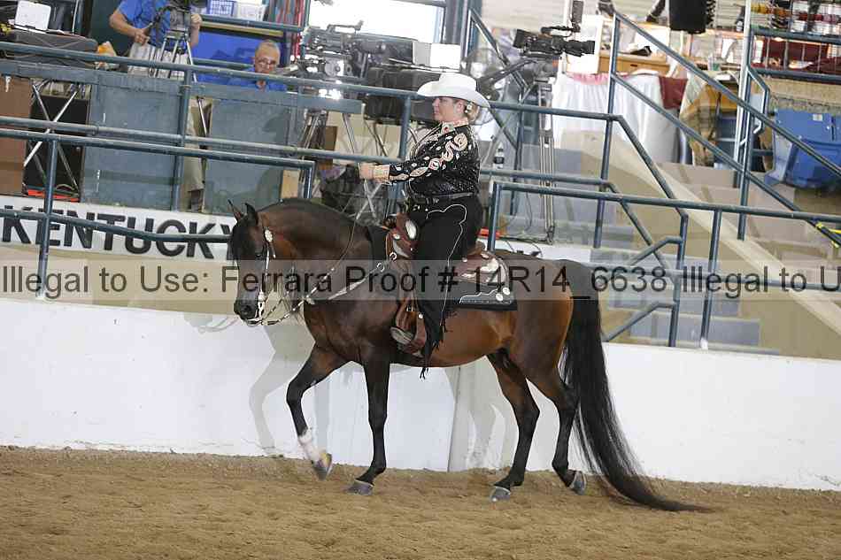 Proof 14r14_6638