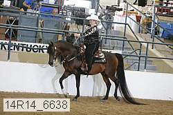 14r14_6638 proof