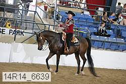 14r14_6639 proof