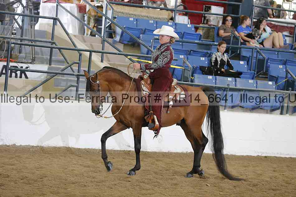 Proof 14r14_6641