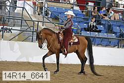 14r14_6641 proof