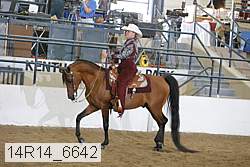 14r14_6642 proof
