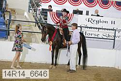 14r14_6646 proof