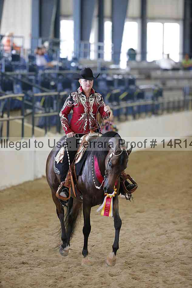 Proof 14r14_6647