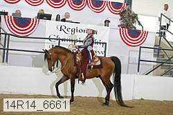 14r14_6661 proof