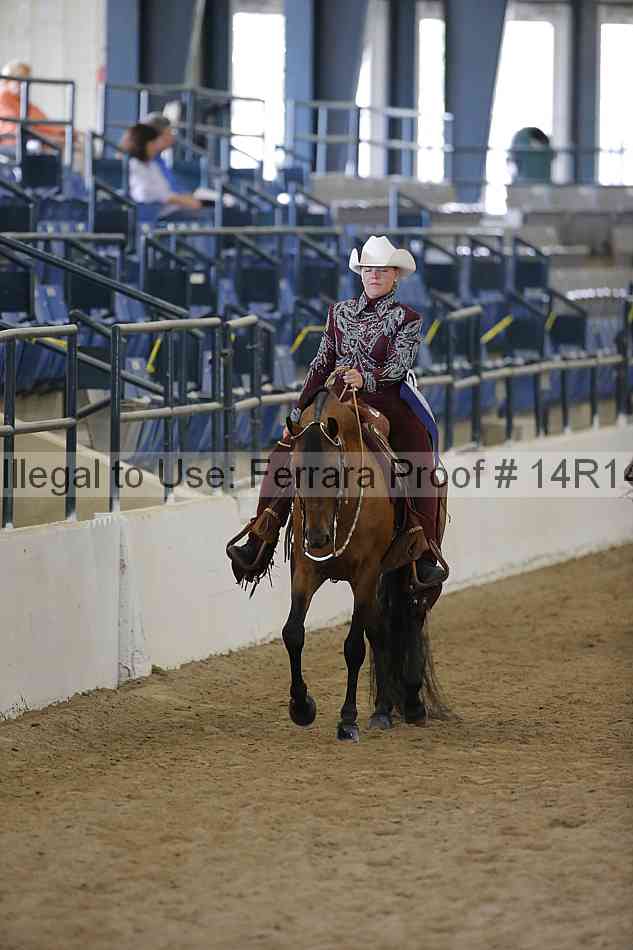 Proof 14r14_6663