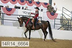 14r14_6664 proof