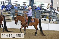 14r14_6681 proof