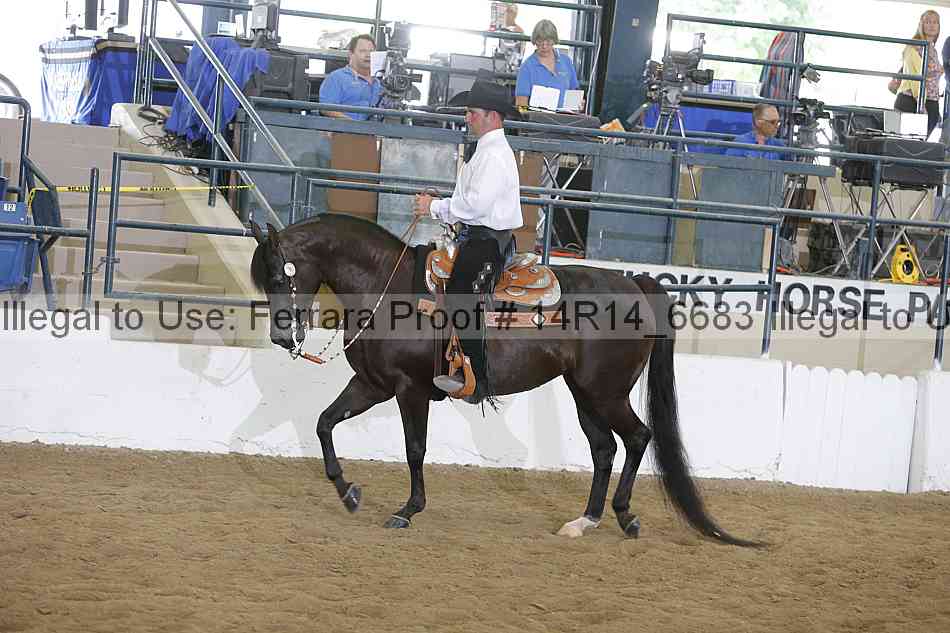 Proof 14r14_6683
