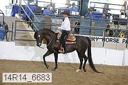 14r14_6683 proof